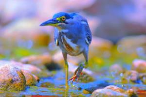 2026年世界杯48队晋级规则解析2026世界杯48队晋级规则