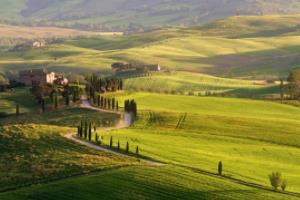 主题曲,世界杯的灵魂之歌世界杯主题曲